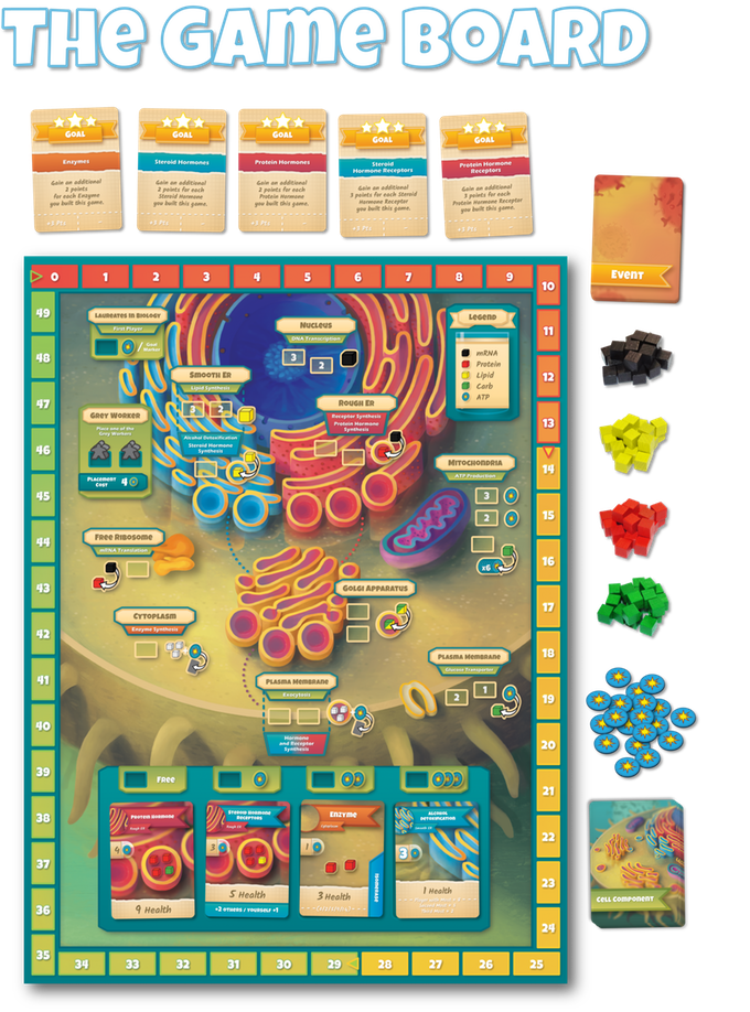 INTL GAMES | Cytosis: A Cell Biology Board Game