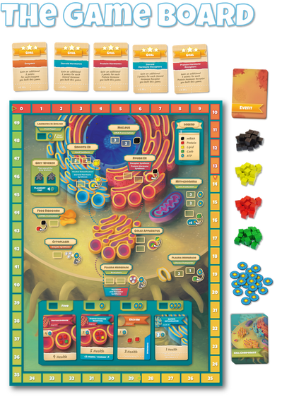 INTL GAMES | Cytosis: A Cell Biology Board Game