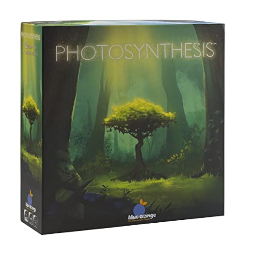 BLUE ORANGE | PHOTOSYNTHESIS